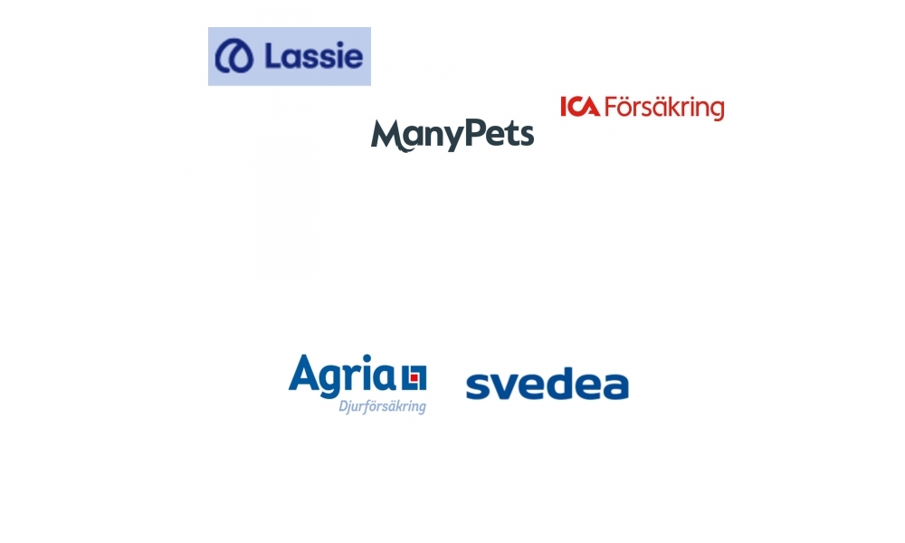 testvinnarna